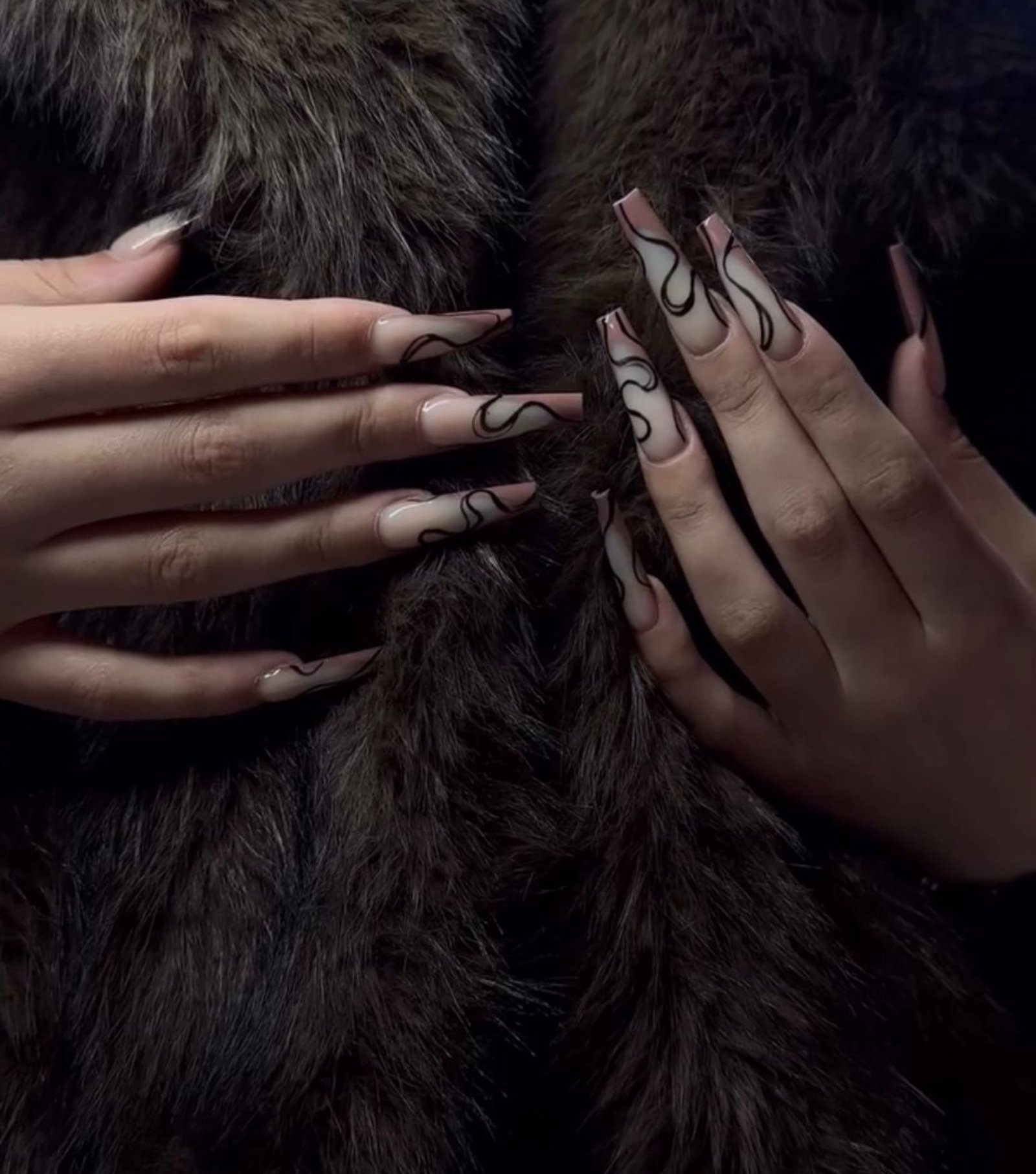 WhatsApp Image 2026-02-10 at 16.01.13 (1)